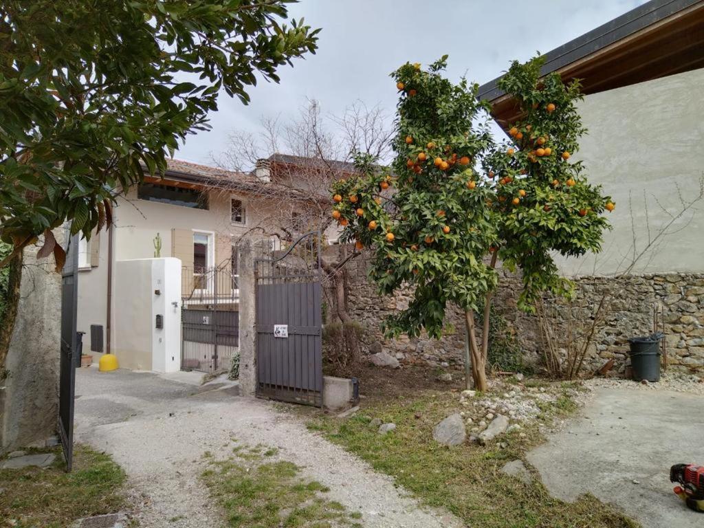 Borgo Alla Pieve Apartments Манерба-дель-Гарда Экстерьер фото